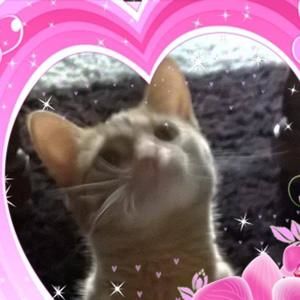 Meet your Posher, Tena